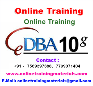 Oracle DBA 10g Online Training in india