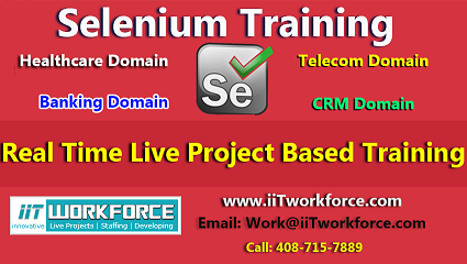 Selenium Real-time Project Workshop experience 