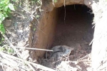 J&K, J&K, bsf found 20 meter tunnel from pakistan in sambha j k, Pakistan rangers