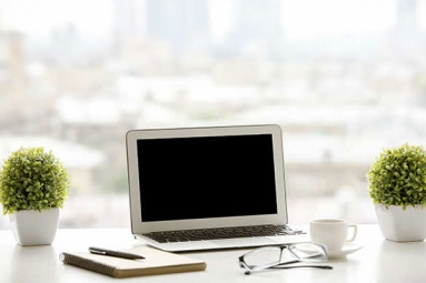 A Plant in your Office can Help in Preventing Sick Days, says Experts A Plant in your Office can Help in Preventing Sick Days, says Experts