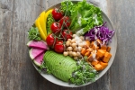 plant based diet, Vegan lifestyle, important factors to know before transitioning to a vegan lifestyle, Vegan lifestyle
