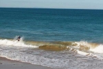 Economist, Aakansha Pande, indian origin world bank senior economist drowns at bali beach, Bali beach