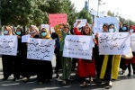 Afghan protests latest updates, Afghan protests news, afghans protest against pakistan taliban open fire, Islamabad