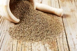 Ajwain diet, Ajwain India, benefits of adding carom seeds to your diet, Ajwain