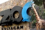 Culiacan Zoo, nurseries and aquariums, animals abandoned during coronavirus lockdown are rescued by a zoo in mexico, Wild animals Culiacan Zoo, nurseries and aquariums, animals abandoned during coronavirus lockdown are rescued by a zoo in mexico, Wild animals