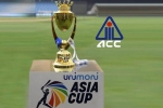 Asia Cup, BCCI, asia cup is canceled bcci president saurav ganguly, Pcb