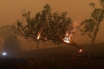bushfires, bushfires, australia fires warnings of huge blazes ahead despite raining, Global warming