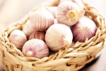 Chinese garlic problems, Chinese garlic latest, how to identify banned chinese garlic in the indian market, Smugglers
