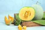 Muskmelon Seeds, Muskmelon Seeds health benefits, health benefits of muskmelon seeds, Oestrogen