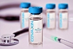 Phase 3 trials, Covaxin, bharat biotech to begin phase 3 trials of covaxin in up from october, Nasal vaccine