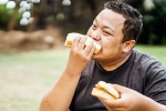 Bread for weightloss health benefits, Bread for weightloss benefits, will bread help in weightloss, Weightloss