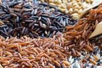 Brown Rice Vs Black Rice suggestions, Black Rice, brown rice vs black rice which one is healthier, Paris Brown Rice Vs Black Rice suggestions, Black Rice, brown rice vs black rice which one is healthier, Paris