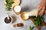 Buttermilk for Weightloss night, Buttermilk for Weightloss, buttermilk before bed will help in weight loss, Buttermilk for weightloss