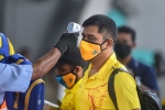 UAE, coronavirus, csk indian player 11 support staff test positive for covid 19, Ipl 2020