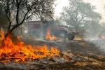 California wildfire death toll, California, california wildfire toll reaches 63 631 still missing, Parking lot