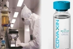 Coronavirus vaccine, Covaxin India, covaxin india s 1st covid 19 vaccine to get approval for human trials, Cgi Coronavirus vaccine, Covaxin India, covaxin india s 1st covid 19 vaccine to get approval for human trials, Cgi