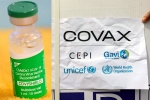 Covishield updates, COVAX updates, sii to resume covishield supply to covax, Bharat biotech