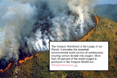 In Pictures: Devastating Fires in Amazon Rainforest Visible From Space