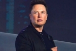 Elon Musk latest, Elon Musk latest update, elon musk talks about cage fight again, Cage fight Elon Musk latest, Elon Musk latest update, elon musk talks about cage fight again, Cage fight