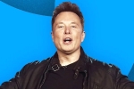 Elon Musk email, Elon Musk breaking news, elon musk s new ultimatum to twitter staffers, Sleeping