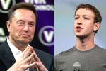 Elon Musk and Mark Zuckerberg breaking, Elon Musk and Mark Zuckerberg, elon vs zuckerberg mma fight ahead, Brazil