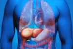 Fatty Liver, Fatty Liver in Youngsters experts, why is fatty liver affecting youngsters, Hepatitis a