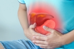 Fatty Liver Disease study, Fatty Liver Disease globally, 1 3 billion globally are suffering with fatty liver disease, Actor
