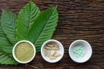 kratom, lifestyle, this pain treating herbal supplement is not safe for use, Disorders care