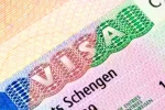 Schengen visa for Indians new rules, Schengen visa for Indians 2024, indians can now get five year multi entry schengen visa, India and us