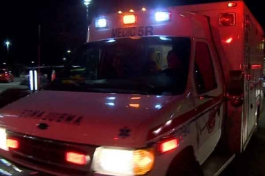 Dog Mauls 3-Month-Old Infant to Death in Los Angeles