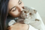 Cat Owner, International Cat Day, international cat day reasons why being a cat owner is good for health, Autism