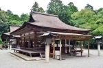 Japan Viral Mikami Shrine videos, Japan Viral Mikami Shrine, why are travellers flocking to japan s viral mikami shrine, Japan viral mikami shrine