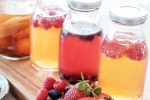 Kombucha and Fermented Foods health updates, Kombucha and Fermented Foods health updates, health benefits of kombucha and fermented foods, Immune system