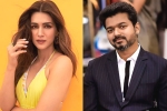 Kriti Sanon with Vijay, Kriti Sanon next film, kriti sanon to romance vijay in his next, 1 nenokkadine Kriti Sanon with Vijay, Kriti Sanon next film, kriti sanon to romance vijay in his next, 1 nenokkadine