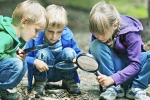 classroom learning, camp, learning outside classroom may boost your child s knowledge, Children learning