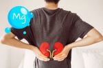 Magnesium for kidney diseases, Magnesium Kidney health, magnesium s role in preventing kidney diseases, Magnesium