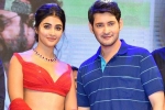 Pooja Hegde and Trivikram, Mahesh Babu, mahesh babu all set to romance pooja hegde again, Maharshi