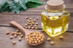 neurological conditions, anxiety, most widely used soybean oil may cause adverse effect in neurological health, Autism