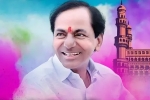 leader, trs win in assembly elections, nris in saudi celebrate trs victory, Telangana assembly elections