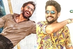 Naga Chaitanya, Naga Chaitanya updates, naga chaitanya gearing up with two films, Sushanth