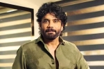 Nagarjuna Personal Rights news, Nagarjuna Personal Rights court, delhi high on nagarjuna s personal rights, Aishwarya rai bachchan