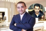 Nehal Deepak Modi latest breaking, Nehal Deepak Modi new breaking, nirav modi s brother arrested in usa, Cbi