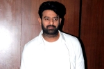 Raja Deluxe, Prabhas film breaking news, two beauties locked to romance prabhas, Raja deluxe