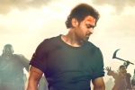 Saaho release date, Sujeeth, saaho trailer prabhas ready with one more winner, Look stunning