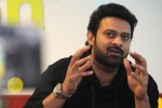 Maruthi, Prabhas new film, two young beauties in talks for prabhas next, Pelli sandad Maruthi, Prabhas new film, two young beauties in talks for prabhas next, Pelli sandad