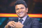 Puneeth Rajkumar health updates, Puneeth Rajkumar health, kannada actor puneeth rajkumar is no more, Indian film fraternity Puneeth Rajkumar health updates, Puneeth Rajkumar health, kannada actor puneeth rajkumar is no more, Indian film fraternity