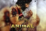 Ranbir Kapoor Animal news, Ranbir Kapoor Animal release updates, ranbir kapoor s animal updates, Arjun reddy