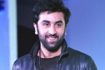 Ranbir Kapoor, Ranbir Kapoor new film, ranbir kapoor s cameo in srk s next, Ae dil hai mushkil