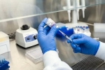 New Ebola Outbreak news, New Ebola Outbreak vaccine, russia claims breakthrough vaccine against new ebola outbreak, New ebola outbreak