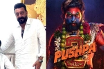 Pushpa: The Rule breaking, Sukumar, sanjay dutt s surprise in pushpa the rule, Indian film industry